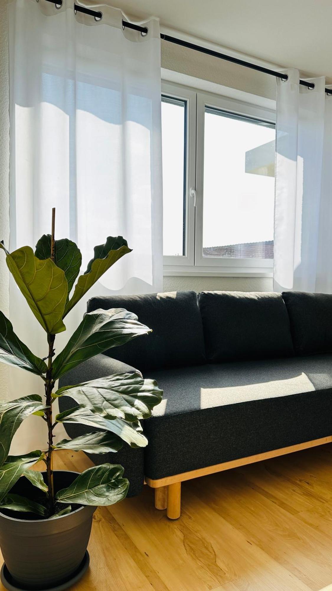 Amao-Sepia I 86Qm I King-Size Beds I Netflix I Privat Balcony I Free Parking I Near Europapark Apartment Rheinhausen Bagian luar foto